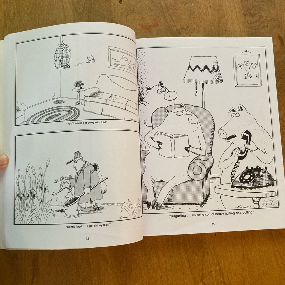 FarSide book bundle 📚 - Picture 8 of 16